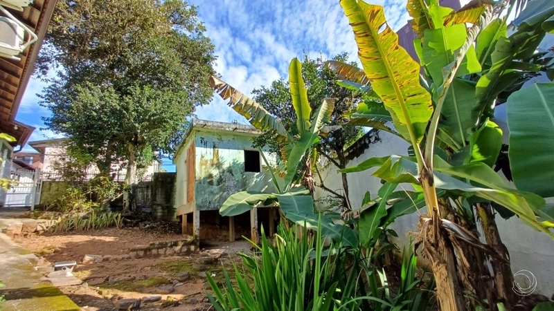 Terreno a venda na Carvoeira com 6756m² de área.: 8ª foto da galeria de imagens do imóvel