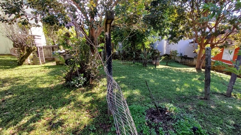 Terreno a venda na Carvoeira com 6756m² de área.: 11ª foto da galeria de imagens do imóvel
