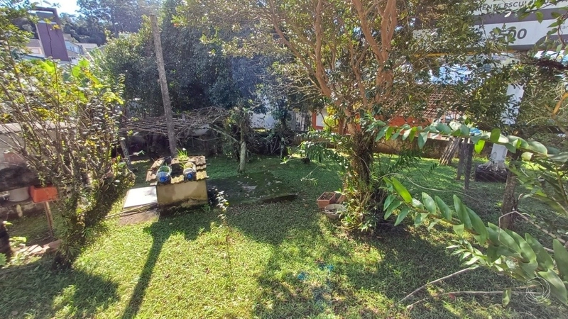 Terreno a venda na Carvoeira com 6756m² de área.: 9ª foto da galeria de imagens do imóvel