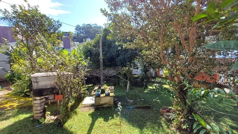 Terreno a venda na Carvoeira com 6756m² de área.: 12ª foto da galeria de imagens do imóvel