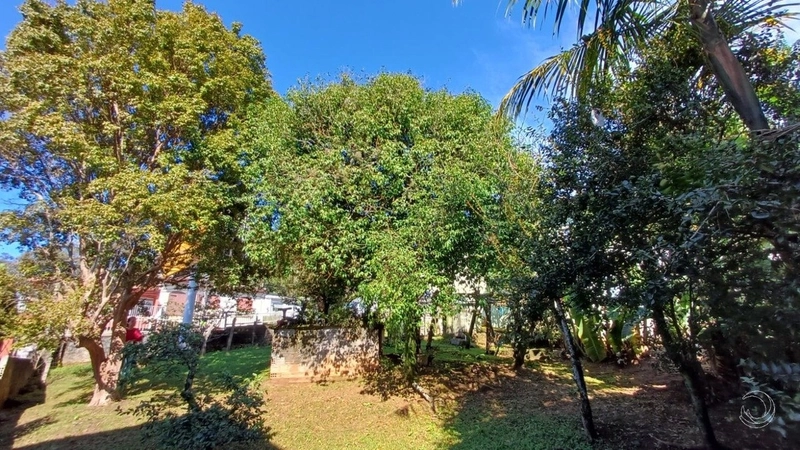 Terreno a venda na Carvoeira com 6756m² de área.: 18ª foto da galeria de imagens do imóvel