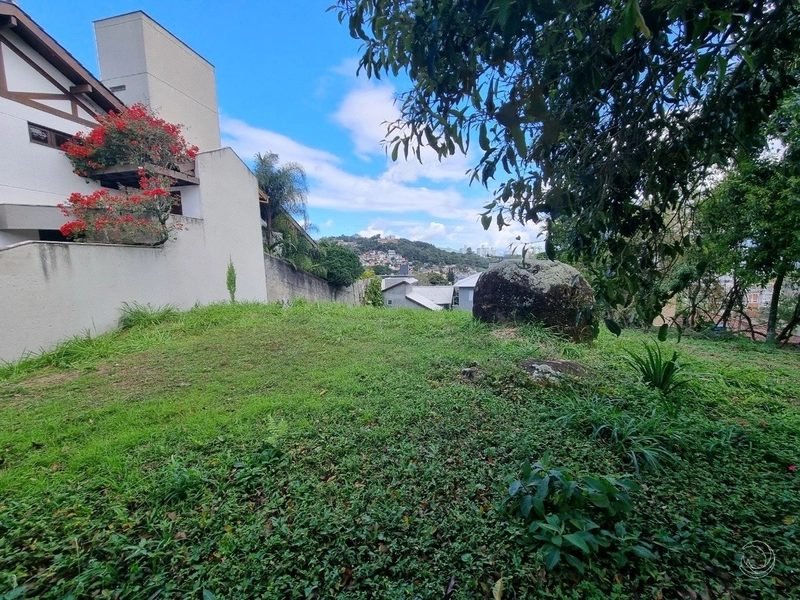 Terreno no João Paulo com 546 m² de área a venda: 8ª foto da galeria de imagens do imóvel