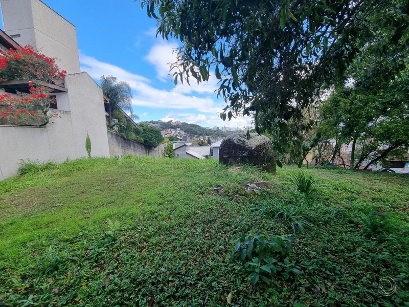 Terreno no João Paulo com 546 m² de área a venda: 1ª foto da galeria de imagens do imóvel