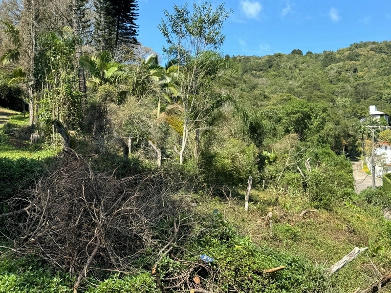 Terreno no Itacurubi com 47.743 m² de área: 7ª foto da galeria de imagens do imóvel