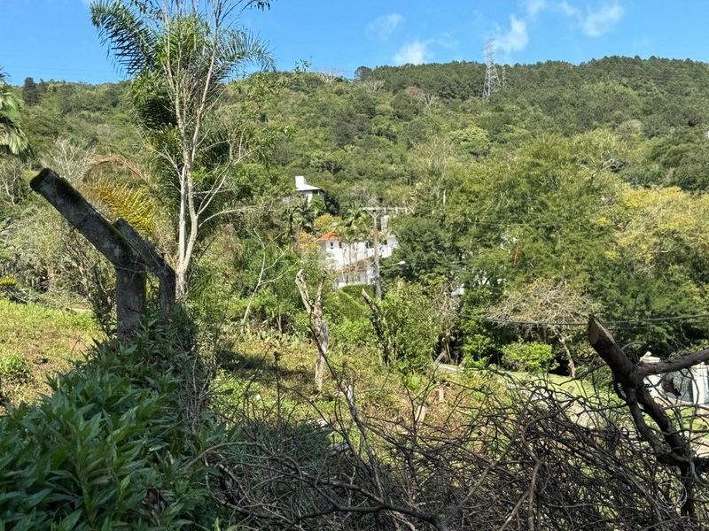 Terreno no Itacurubi com 47.743 m² de área: 6ª foto da galeria de imagens do imóvel