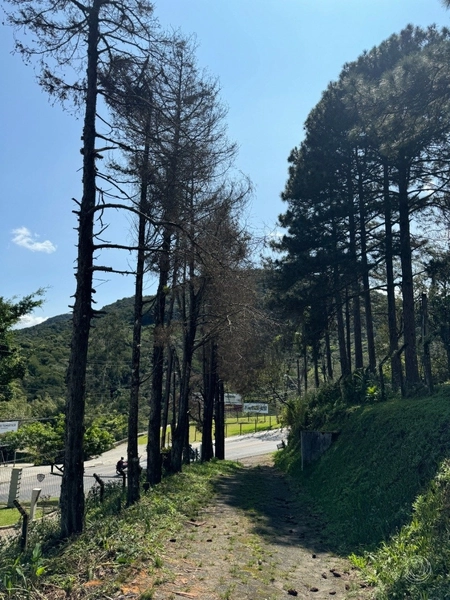 Terreno no Itacurubi com 47.743 m² de área: 1ª foto da galeria de imagens do imóvel