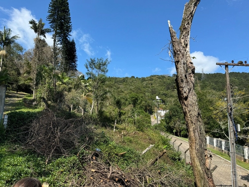 Terreno no Itacurubi com 47.743 m² de área: 4ª foto da galeria de imagens do imóvel