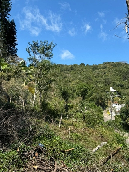 Terreno no Itacurubi com 47.743 m² de área: 2ª foto da galeria de imagens do imóvel