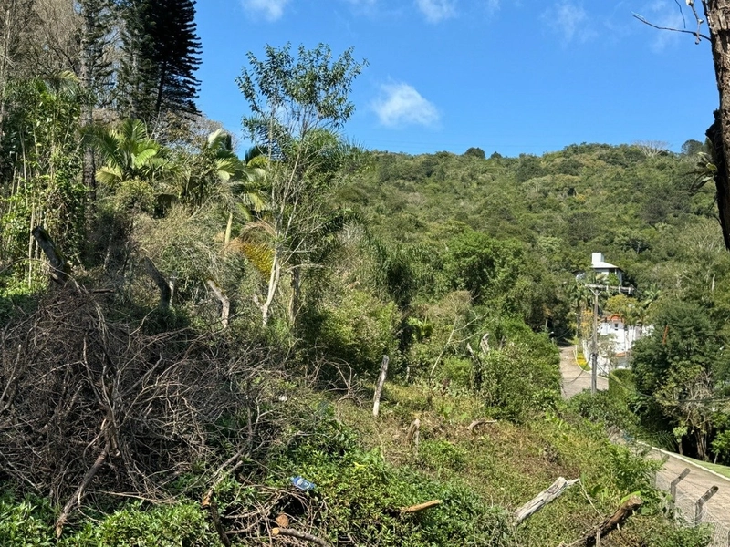 Terreno no Itacurubi com 47.743 m² de área: 8ª foto da galeria de imagens do imóvel