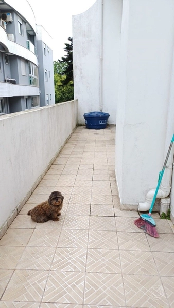Casa em Coqueiros com 6 dormitórios sendo 1 suíte e 4 vagas: 7ª foto da galeria de imagens do imóvel