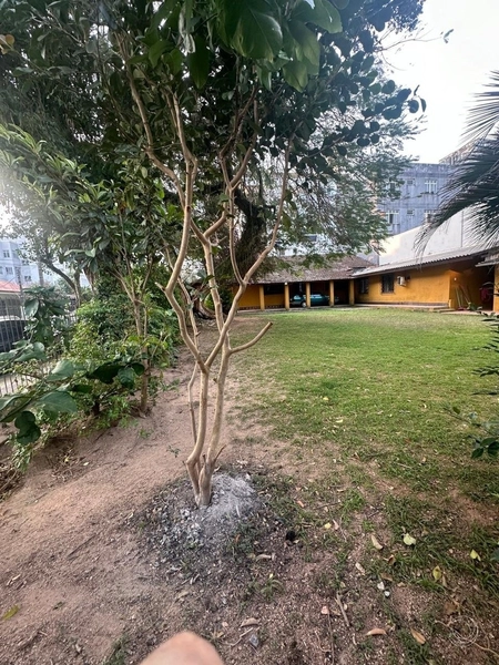 terreno em Coqueiros a venda com 714,53m²: 2ª foto da galeria de imagens do imóvel
