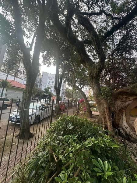 terreno em Coqueiros a venda com 714,53m²: 6ª foto da galeria de imagens do imóvel