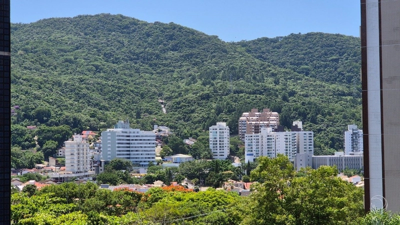 Apartamento o Parque São Jorge com 4 dormitórios 1 suíte e 1 vaga: 15ª foto da galeria de imagens do imóvel