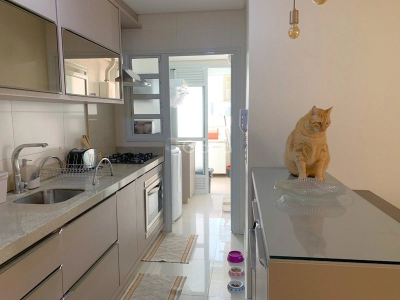 Apartamento no Córrego Grande com 3 dormitório, sendo 1 suíte e 1 vaga: 2ª foto da galeria de imagens do imóvel