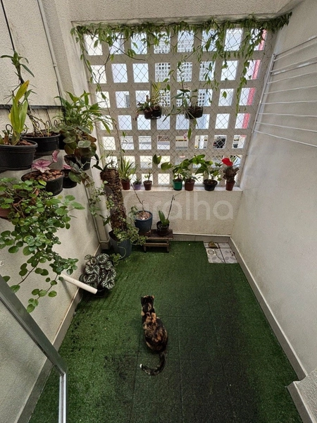 Apartamento no Córrego Grande, com 3 dormitórios 1 suíte e 1 vaga: 8ª foto da galeria de imagens do imóvel