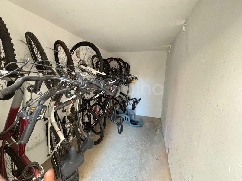 Apartamento no Córrego Grande, com 3 dormitórios 1 suíte e 1 vaga: 23ª foto da galeria de imagens do imóvel