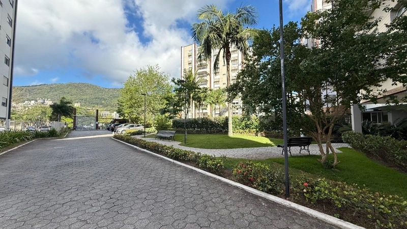 Apartamento no Parque São Jorge com 3 dormitórios 1 suítes e 1 vaga: 54ª foto da galeria de imagens do imóvel