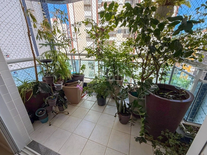 Apartamento no Parque São Jorge com 3 dormitórios 1 suítes e 1 vaga: 7ª foto da galeria de imagens do imóvel