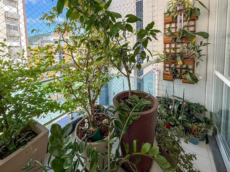 Apartamento no Parque São Jorge com 3 dormitórios 1 suítes e 1 vaga: 9ª foto da galeria de imagens do imóvel