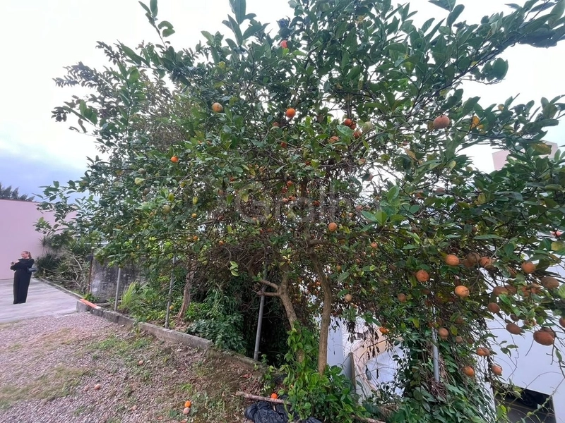 Apartamento em Coqueiros com 3 dormitórios 1 suíte e 1 vaga: 32ª foto da galeria de imagens do imóvel