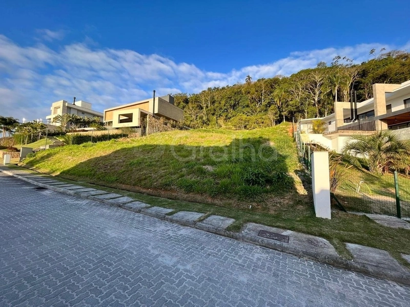 Terreno a venda  no Córrego Grande com 1.638,00m² de área: 4ª foto da galeria de imagens do imóvel
