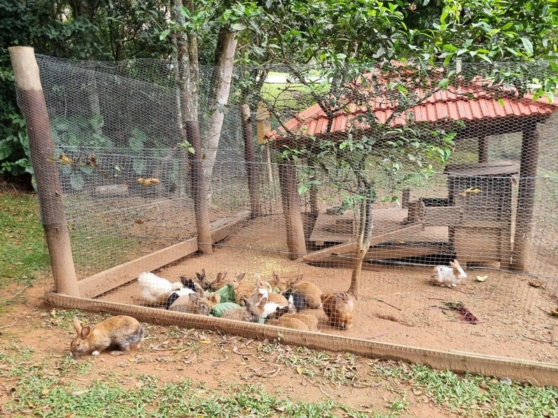 Casa residencial em Sambaqui com 5 dormitórios, sendo 3 suítes e 4 vg: 52ª foto da galeria de imagens do imóvel