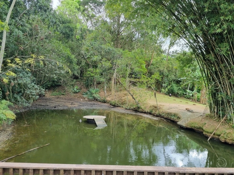 Casa residencial em Sambaqui com 5 dormitórios, sendo 3 suítes e 4 vg: 54ª foto da galeria de imagens do imóvel