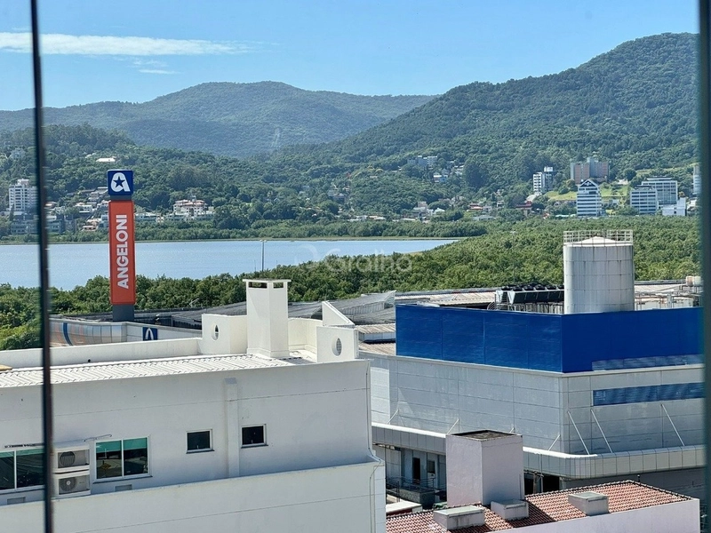 Apartamento na Agromica com 3 dormitórios sendo 1 suíte e 1 vaga 84m²: 11ª foto da galeria de imagens do imóvel