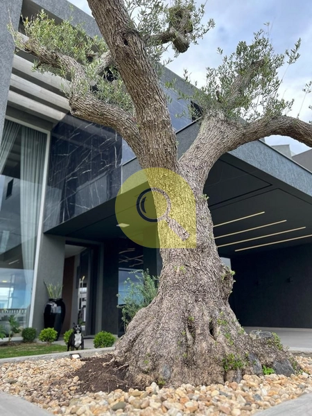 Residência beira lago, 4 suítes, com piscina, no Capão Ilhas Resort!: 37ª foto da galeria de imagens do imóvel