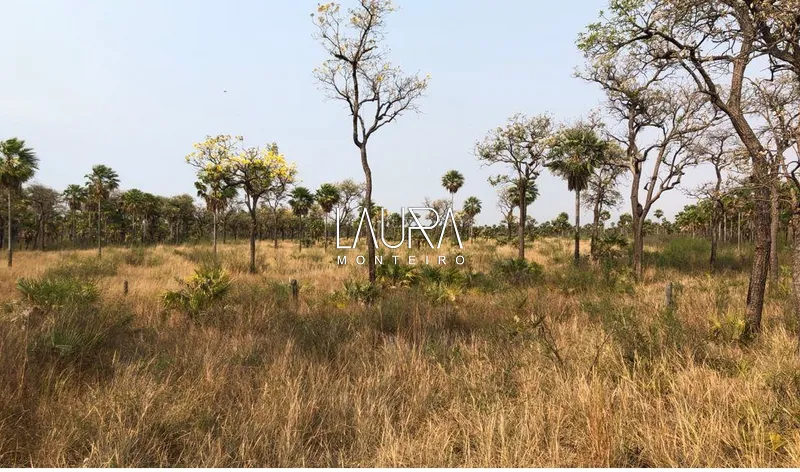 Fazenda no Pantanal do Nabileque, a 180 km da Bonito MS: 2ª foto da galeria de imagens do imóvel