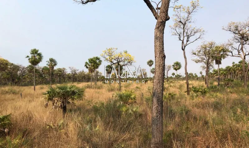 Fazenda no Pantanal do Nabileque, a 180 km da Bonito MS: 4ª foto da galeria de imagens do imóvel