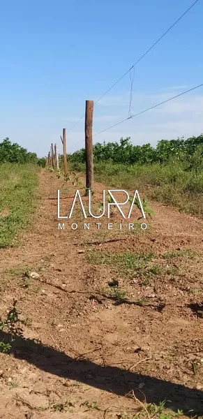 Fazenda para pecuária, fácil acesso próximo a Bonito: 11ª foto da galeria de imagens do imóvel