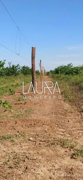 Fazenda para pecuária, fácil acesso próximo a Bonito: 10ª foto da galeria de imagens do imóvel