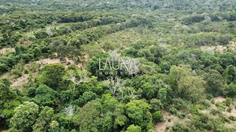 Fazenda para pecuária, fácil acesso próximo a Bonito: 17ª foto da galeria de imagens do imóvel