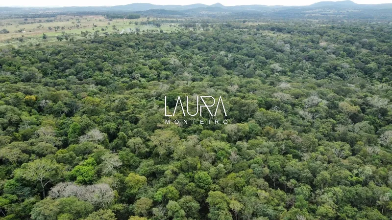 Fazenda para pecuária, fácil acesso próximo a Bonito: 16ª foto da galeria de imagens do imóvel