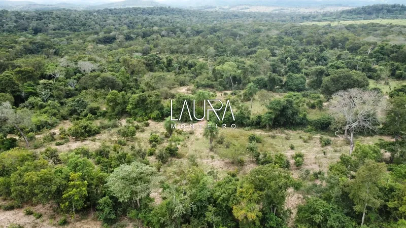 Fazenda para pecuária, fácil acesso próximo a Bonito: 7ª foto da galeria de imagens do imóvel