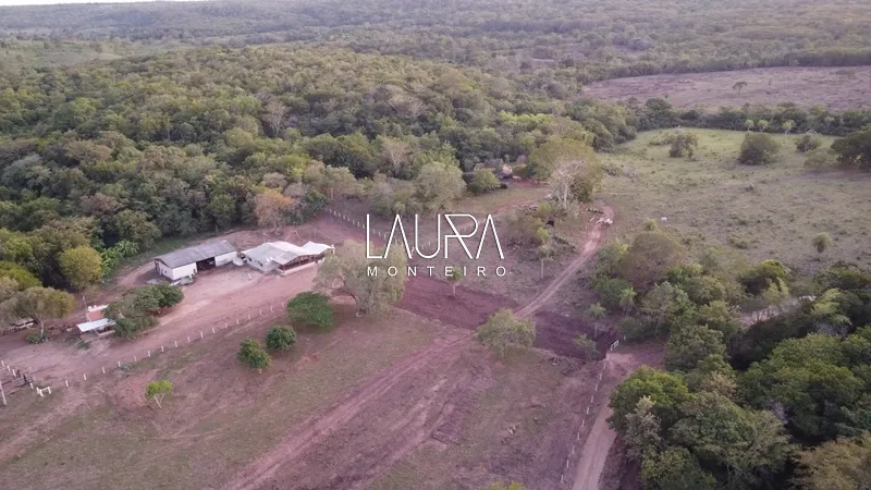 200 Hectares disponíveis para arrendamento agrícola: 1ª foto da galeria de imagens do imóvel