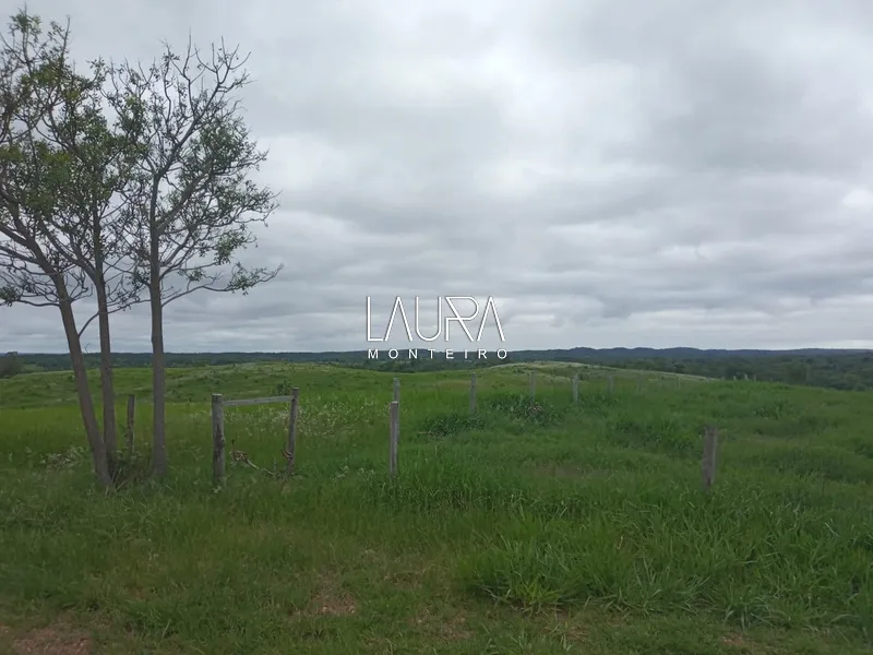 Oportunidade para Pecuária a 90 km de Bonito: 57ª foto da galeria de imagens do imóvel