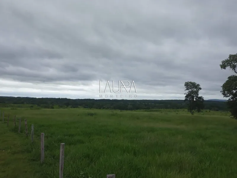 Oportunidade para Pecuária a 90 km de Bonito: 52ª foto da galeria de imagens do imóvel