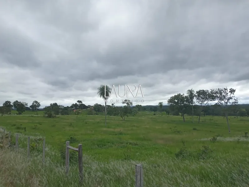 Oportunidade para Pecuária a 90 km de Bonito: 65ª foto da galeria de imagens do imóvel