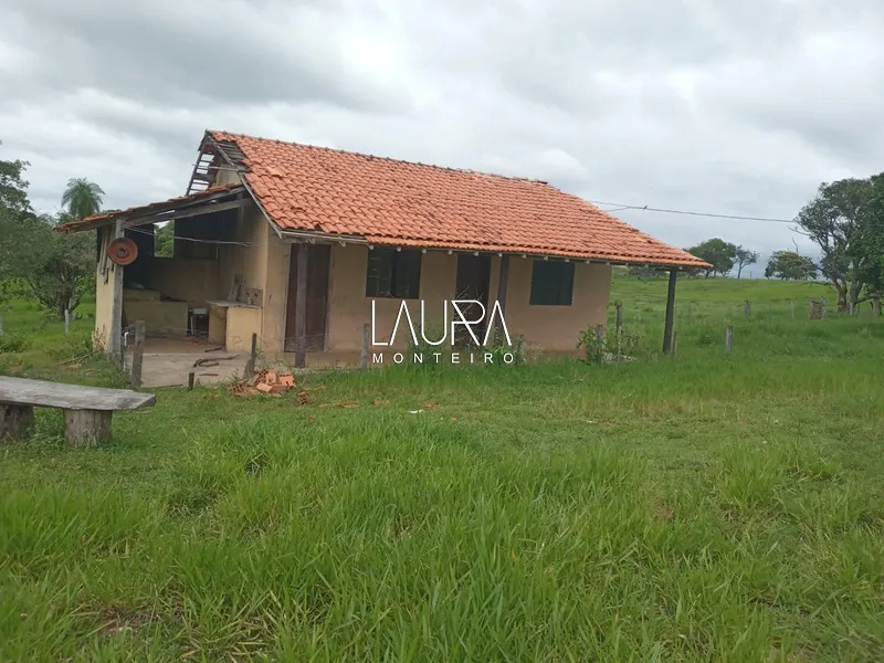 Oportunidade para Pecuária a 90 km de Bonito: 26ª foto da galeria de imagens do imóvel