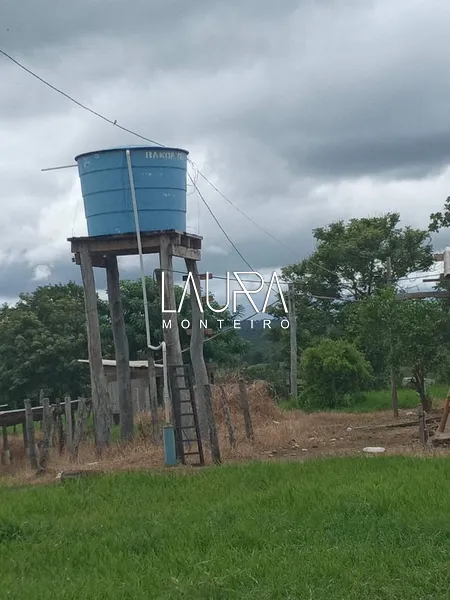 Oportunidade para Pecuária a 90 km de Bonito: 11ª foto da galeria de imagens do imóvel