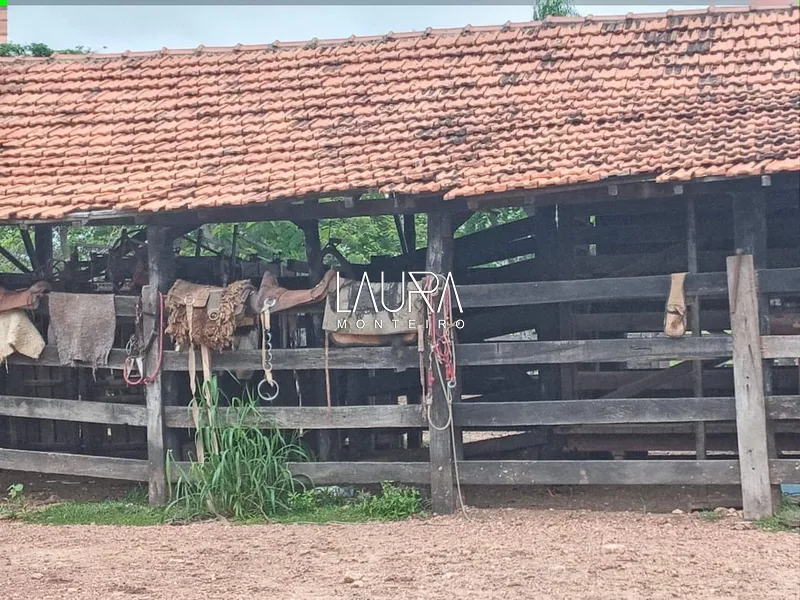 Oportunidade para Pecuária a 90 km de Bonito: 14ª foto da galeria de imagens do imóvel