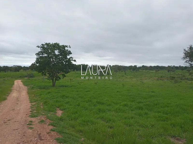 Oportunidade para Pecuária a 90 km de Bonito: 43ª foto da galeria de imagens do imóvel