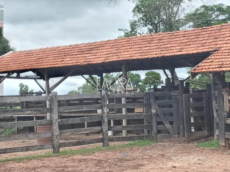 Oportunidade para Pecuária a 90 km de Bonito: 12ª foto da galeria de imagens do imóvel