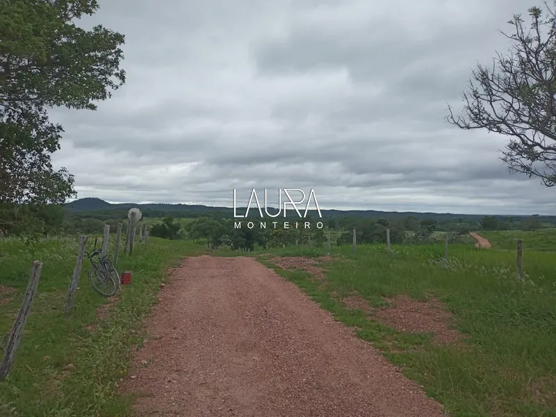 Oportunidade para Pecuária a 90 km de Bonito: 53ª foto da galeria de imagens do imóvel