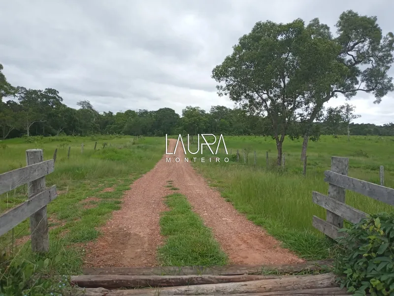 Oportunidade para Pecuária a 90 km de Bonito: 8ª foto da galeria de imagens do imóvel