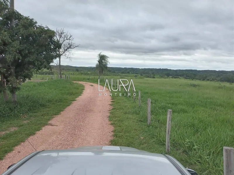 Oportunidade para Pecuária a 90 km de Bonito: 54ª foto da galeria de imagens do imóvel