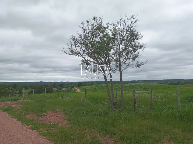 Oportunidade para Pecuária a 90 km de Bonito: 55ª foto da galeria de imagens do imóvel