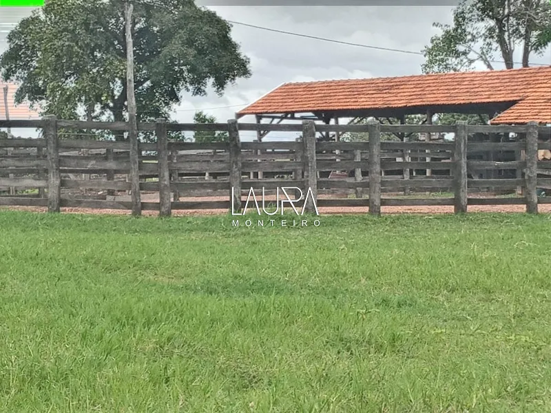 Oportunidade para Pecuária a 90 km de Bonito: 13ª foto da galeria de imagens do imóvel